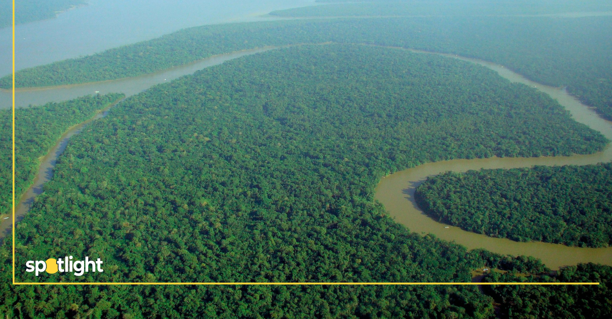 Everland Appoints Sylvera for Indigenous Amazon Outcome Bond