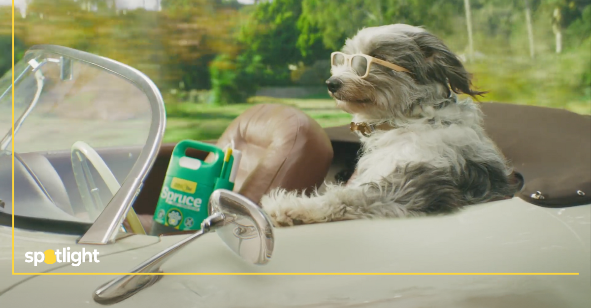 Spruce Sends Kirk Herbstreit’s Dog Peter to the Super Bowl